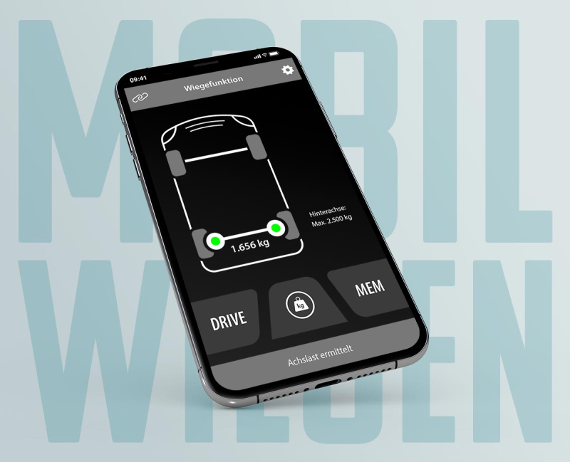 8"-Goldschmitt-RHC-Zusatzluftfeder für Fiat Ducato Typ 250